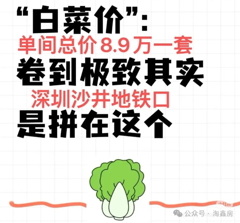 深圳最便宜小产权房《大兴家园》总价8.9万/套(图1) 深圳最便宜小产权房《大兴家园》总价8.9万/套(图1)