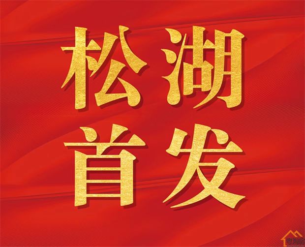 大朗小产权房《理想之城》中心区域 分期15年(图2)