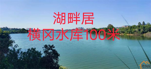 东莞厚街小产权房《湖畔居》横岗水库一线湖景洋房，4300元/平米起，三房标准T户(图4)