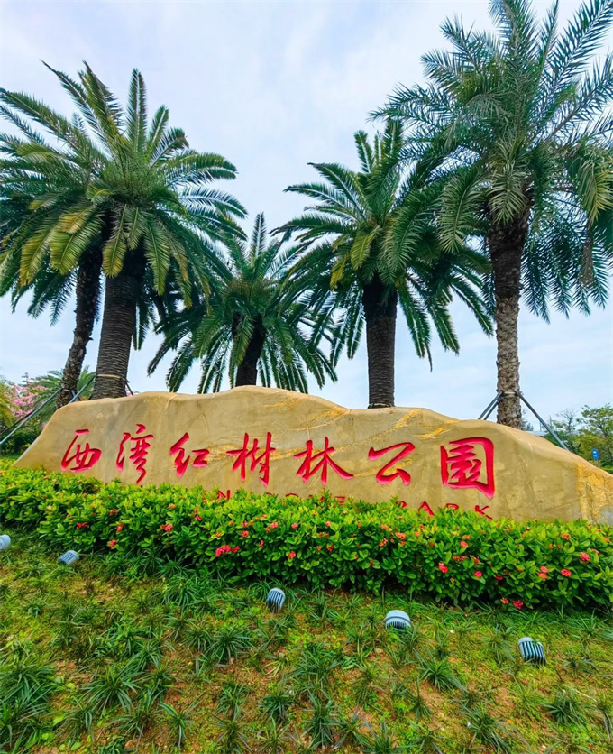 西乡统建楼一手新盘《海璟园》花园小区，11号线滨海湾地铁口(图4)