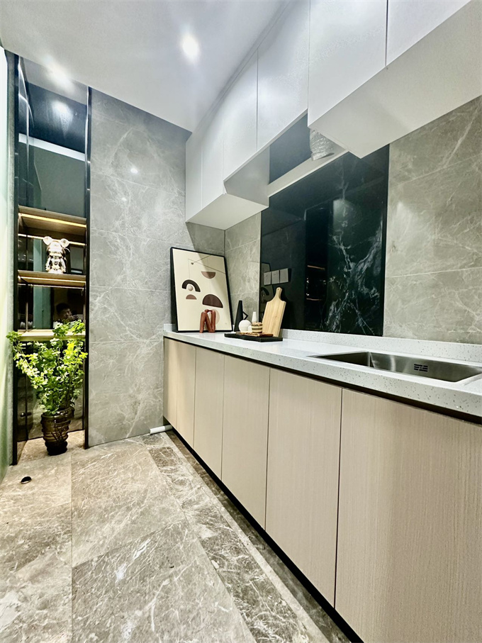 大浪四栋统建楼小区《凯悦公馆》8800元/平米(图8)