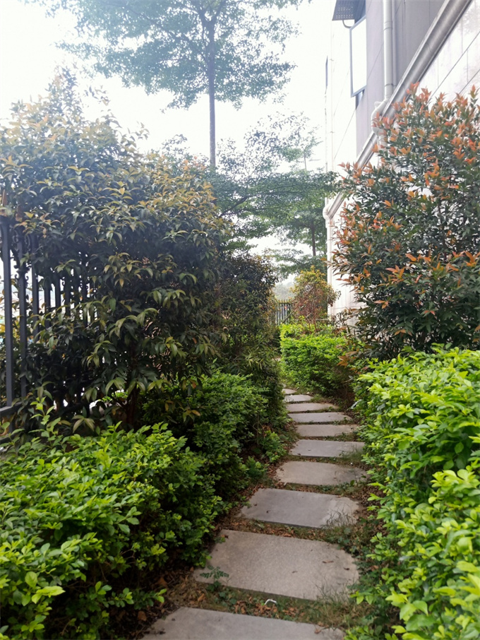 石岩三栋500户统建楼《美丽家园》9800元/平米，可落户(图4)