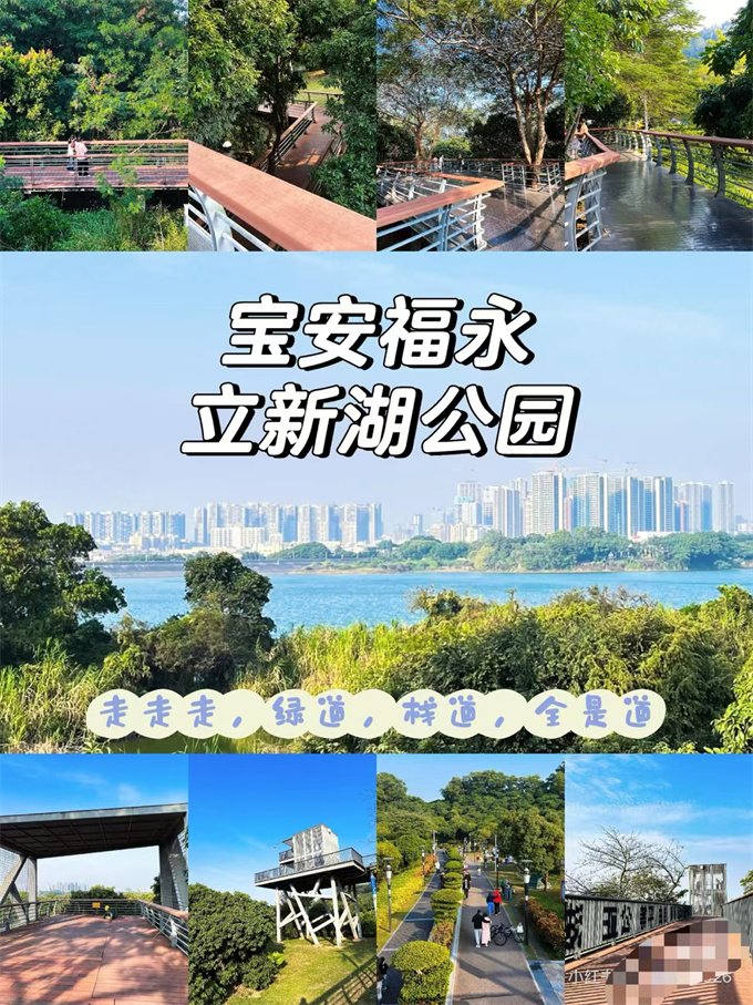 福永村委统建楼《凤城花园》22栋小区,单价仅8800元/㎡、可落户(图5) 福永村委统建楼《凤城花园》22栋小区,单价仅8800元/㎡、可落户(图5)