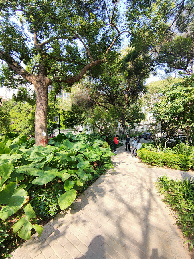 石岩中心区统建楼《人才公寓》9800元/平米，13号线石岩地铁口(图3)