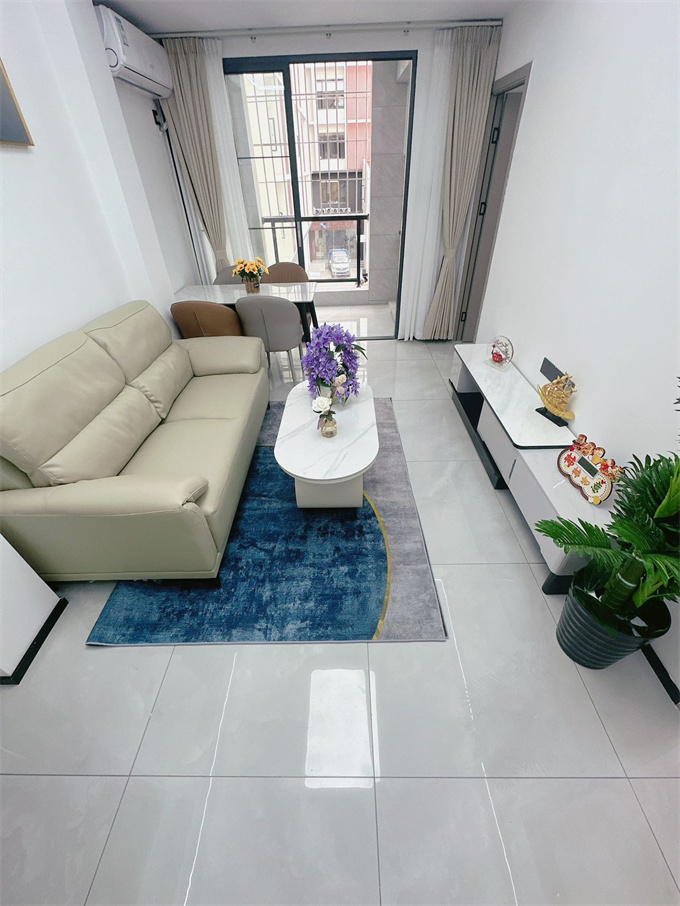 大浪元芬地铁口小产权房《盛景华庭》两房总价45.8万，可落户(图1)