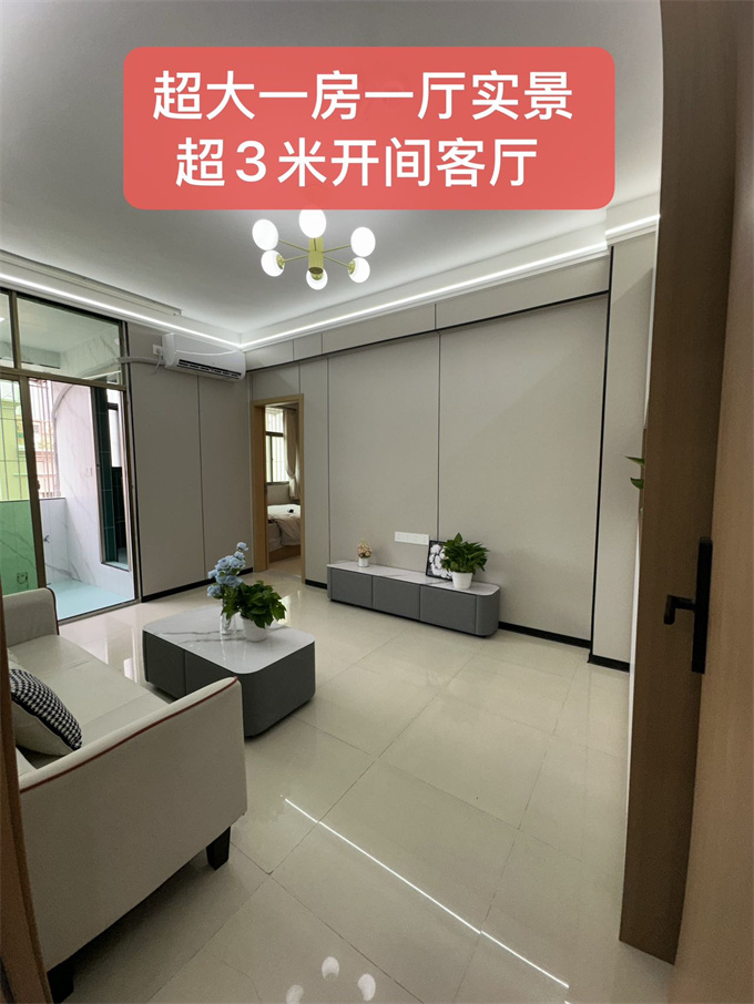 沙井小产权房《万丰小时代》一房总价22.8万/两房53.8万，精装交付(图3)
