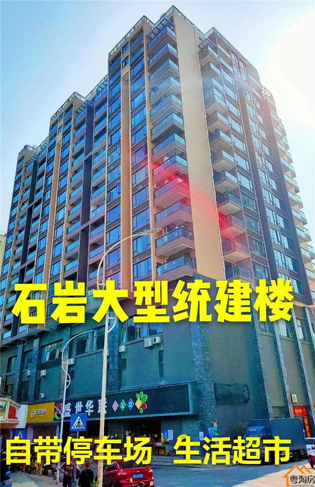 深圳石岩大型村委统建楼《盛世豪庭》上屋地铁口1000米，精装修原始户型(图2)