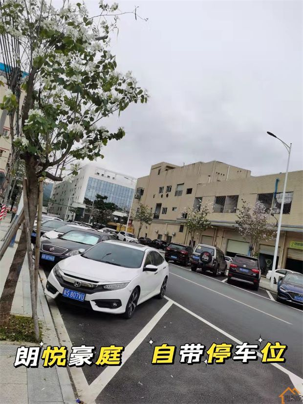 大岭山水朗小产权房《朗悦豪庭》均价4380,自带停车位(图6)