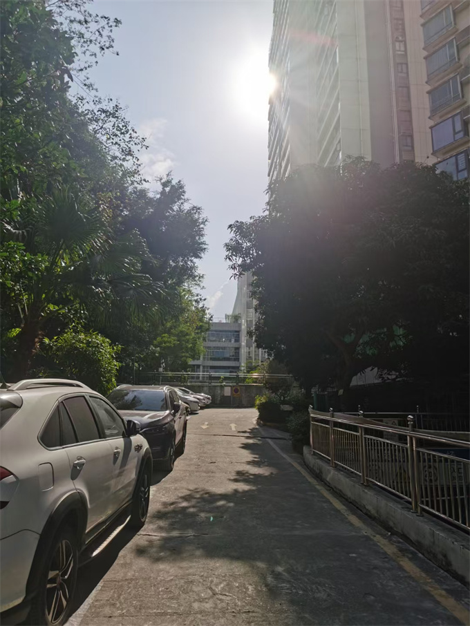 福田华侨城旁小产权房《皇家林苑》一房一厅59.8万，小区房/地下停车场(图4)