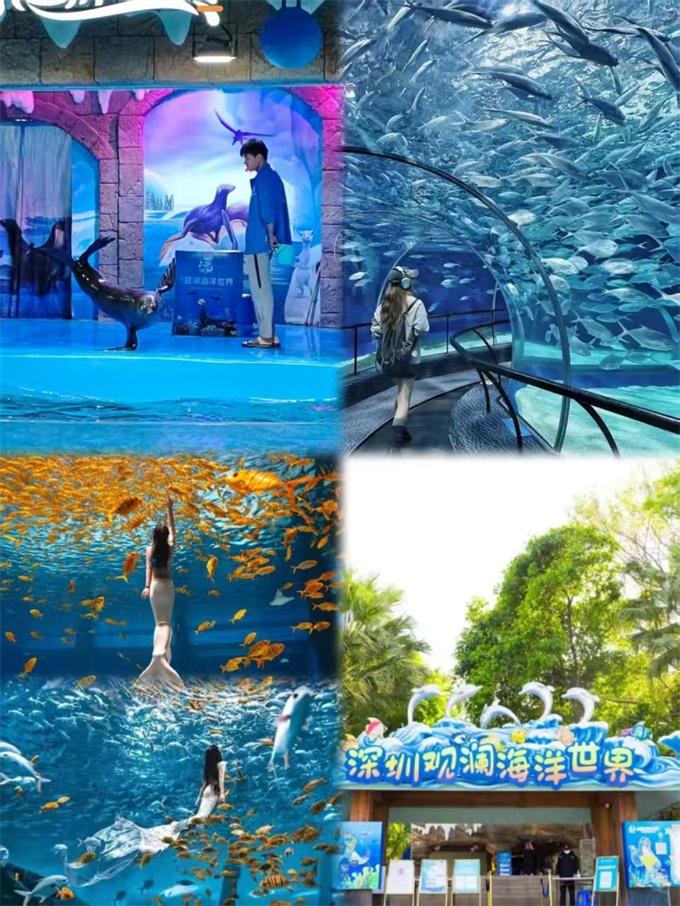 龙华观澜花园统建楼《港铁天境》4号线地铁口零距离，豪华装修交付(图18)