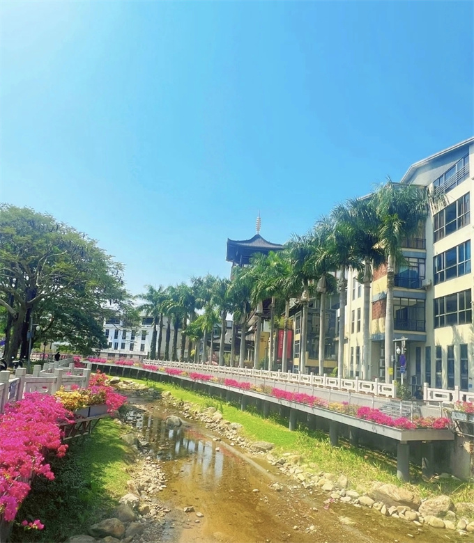 罗湖梧桐山小产权房新盘《大望壹号》一房52.8万/两房59.8万，精装修/通燃气/天然氧吧(图3)
